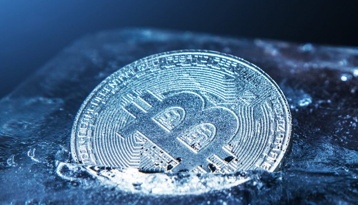 Las ballenas Bitcoin fregaron 450.000 BTC durante el invierno en Crypto