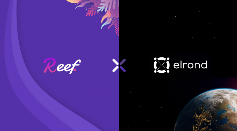 Elrond y Reef Finance se unen para lograr una mayor conectividad y liquidez