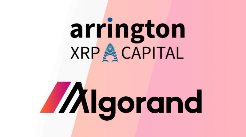 Arrington Capital crea un fondo de crecimiento de Algorand de $ 100 millones