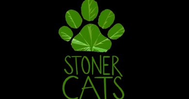Más de 300 ETH perdidos debido a que fallan las transacciones de Stoner Cats